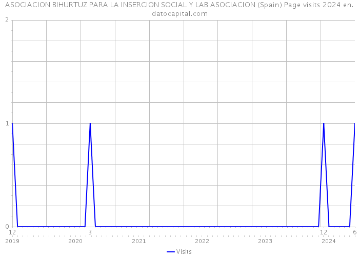 ASOCIACION BIHURTUZ PARA LA INSERCION SOCIAL Y LAB ASOCIACION (Spain) Page visits 2024 