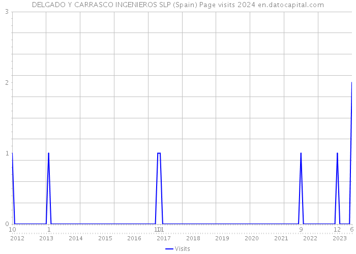 DELGADO Y CARRASCO INGENIEROS SLP (Spain) Page visits 2024 