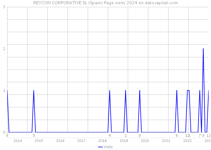REYCON CORPORATIVE SL (Spain) Page visits 2024 