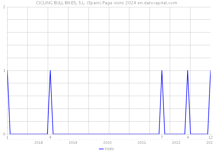 CICLING BULL BIKES, S.L. (Spain) Page visits 2024 