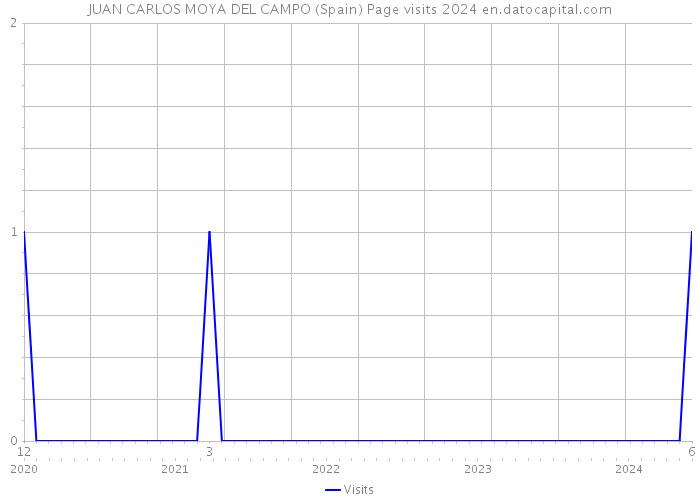 JUAN CARLOS MOYA DEL CAMPO (Spain) Page visits 2024 