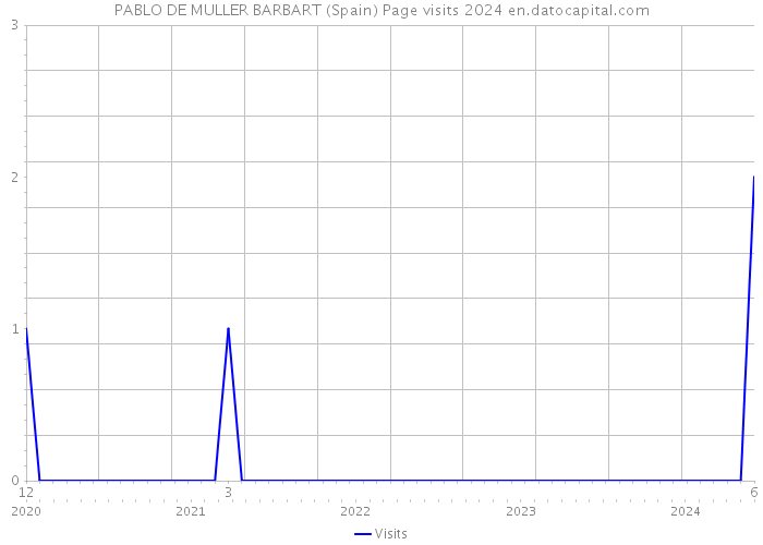 PABLO DE MULLER BARBART (Spain) Page visits 2024 