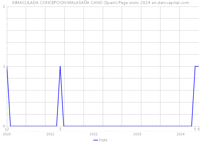 INMACULADA CONCEPCION MALASAÑA CANO (Spain) Page visits 2024 