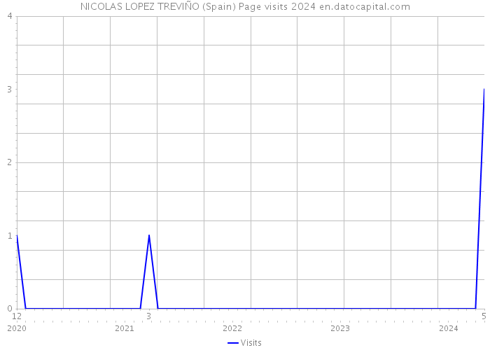 NICOLAS LOPEZ TREVIÑO (Spain) Page visits 2024 