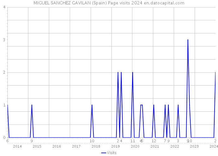 MIGUEL SANCHEZ GAVILAN (Spain) Page visits 2024 