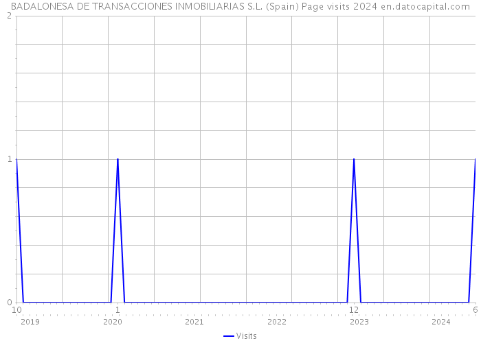 BADALONESA DE TRANSACCIONES INMOBILIARIAS S.L. (Spain) Page visits 2024 