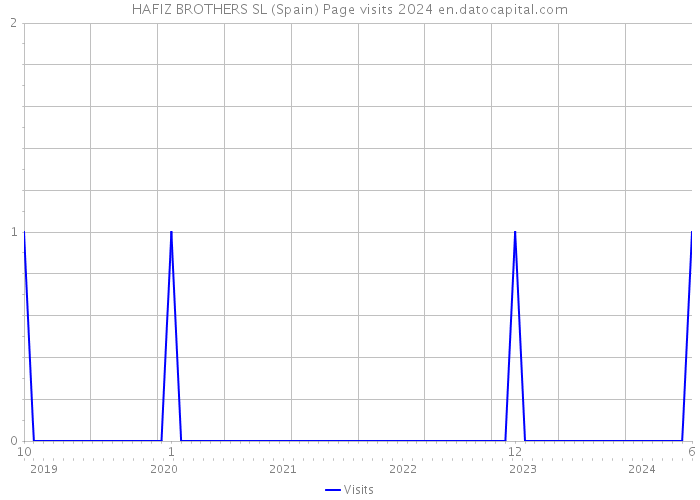 HAFIZ BROTHERS SL (Spain) Page visits 2024 