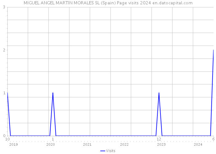 MIGUEL ANGEL MARTIN MORALES SL (Spain) Page visits 2024 