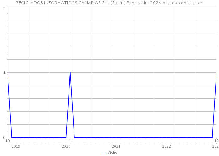RECICLADOS INFORMATICOS CANARIAS S.L. (Spain) Page visits 2024 
