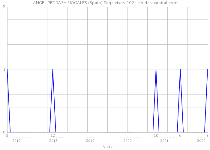 ANGEL PEDRAZA NOGALES (Spain) Page visits 2024 