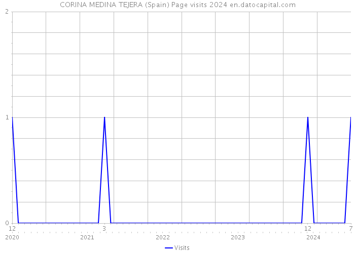 CORINA MEDINA TEJERA (Spain) Page visits 2024 