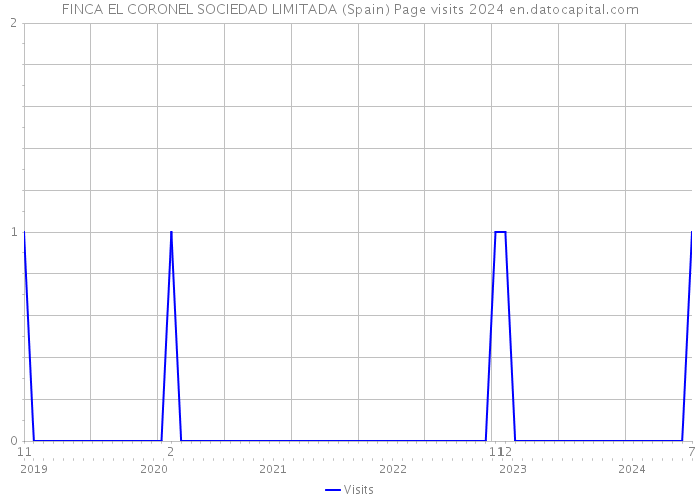 FINCA EL CORONEL SOCIEDAD LIMITADA (Spain) Page visits 2024 