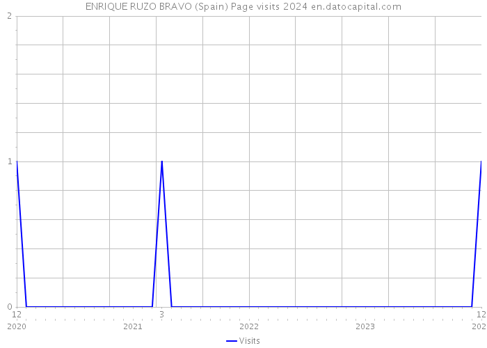 ENRIQUE RUZO BRAVO (Spain) Page visits 2024 