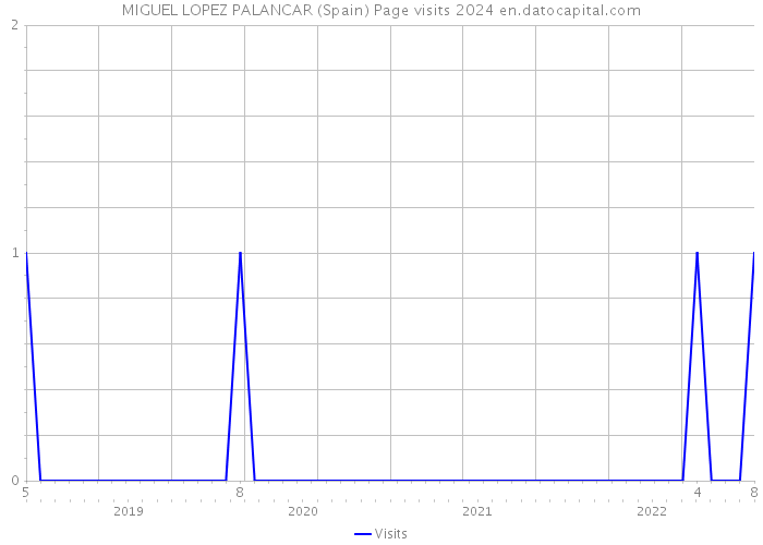 MIGUEL LOPEZ PALANCAR (Spain) Page visits 2024 