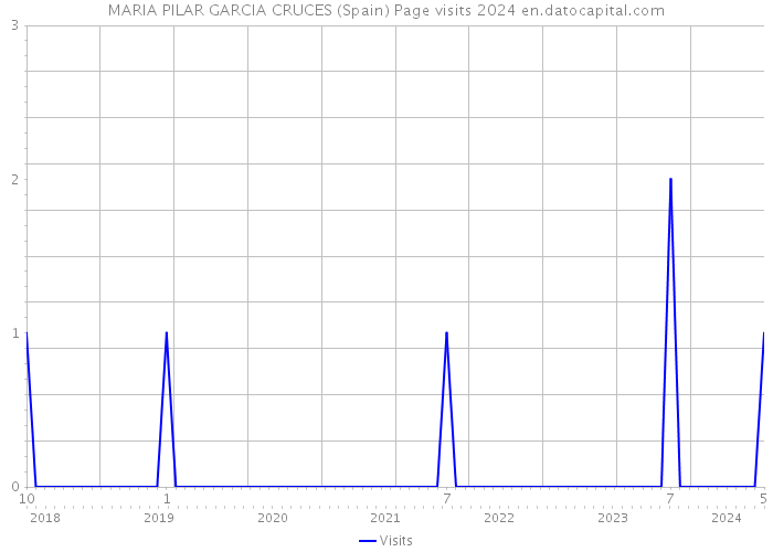 MARIA PILAR GARCIA CRUCES (Spain) Page visits 2024 