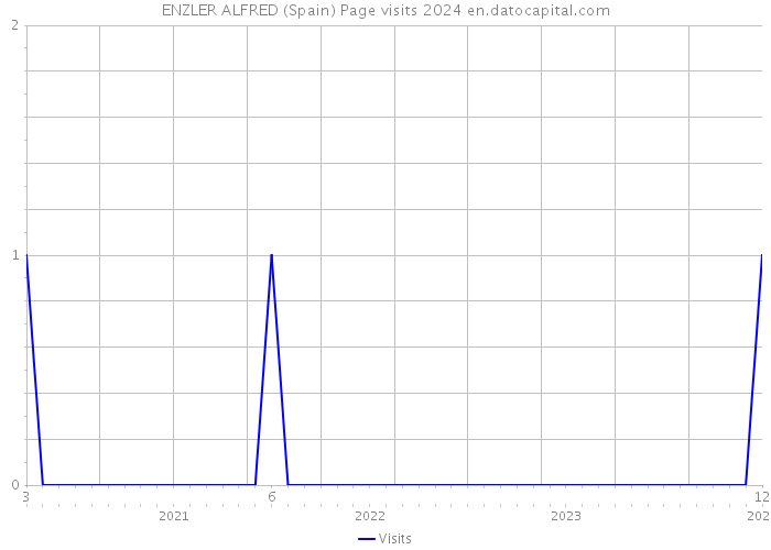 ENZLER ALFRED (Spain) Page visits 2024 