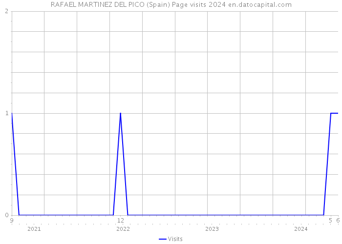 RAFAEL MARTINEZ DEL PICO (Spain) Page visits 2024 