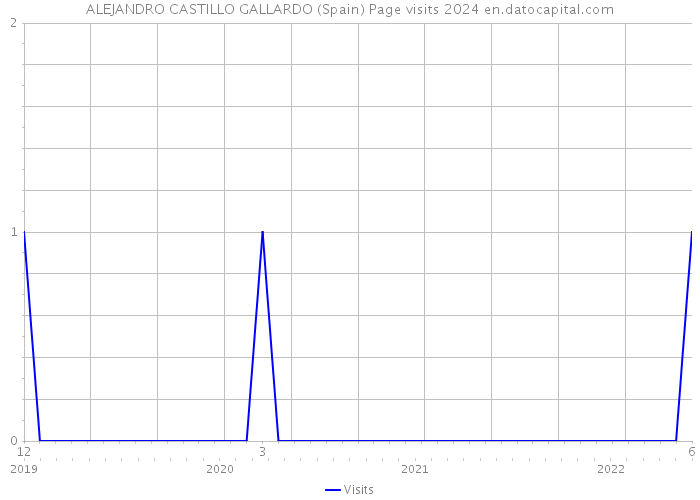 ALEJANDRO CASTILLO GALLARDO (Spain) Page visits 2024 