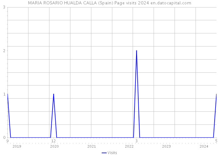 MARIA ROSARIO HUALDA CALLA (Spain) Page visits 2024 