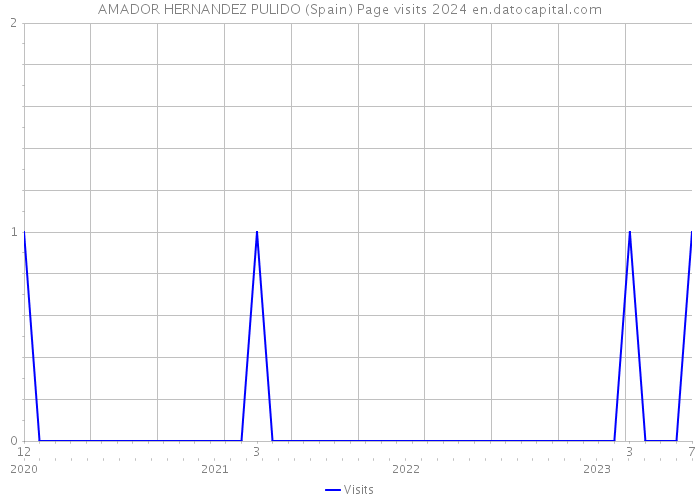 AMADOR HERNANDEZ PULIDO (Spain) Page visits 2024 