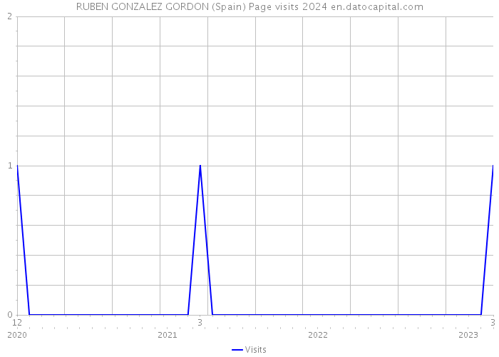 RUBEN GONZALEZ GORDON (Spain) Page visits 2024 