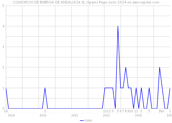 CONSORCIO DE ENERGIA DE ANDALUCIA SL (Spain) Page visits 2024 