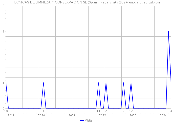 TECNICAS DE LIMPIEZA Y CONSERVACION SL (Spain) Page visits 2024 