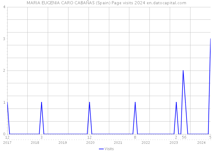 MARIA EUGENIA CARO CABAÑAS (Spain) Page visits 2024 