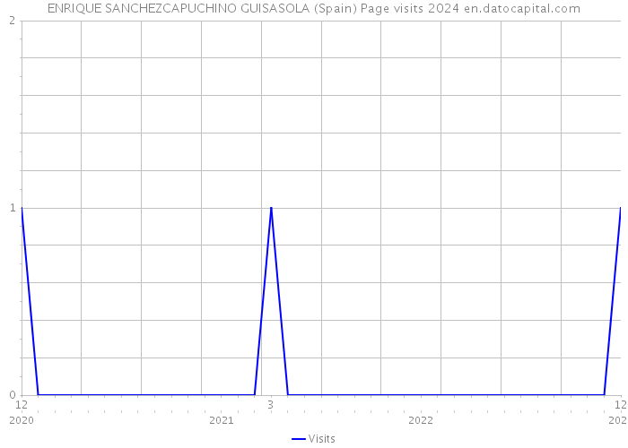 ENRIQUE SANCHEZCAPUCHINO GUISASOLA (Spain) Page visits 2024 