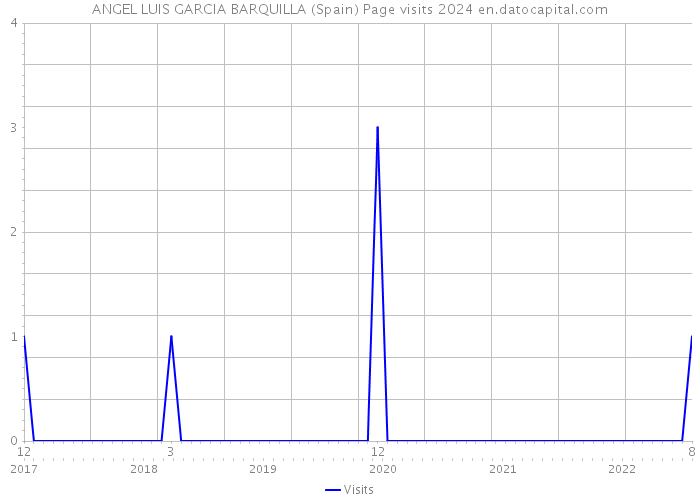 ANGEL LUIS GARCIA BARQUILLA (Spain) Page visits 2024 