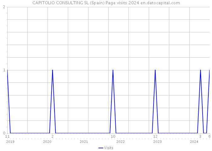 CAPITOLIO CONSULTING SL (Spain) Page visits 2024 