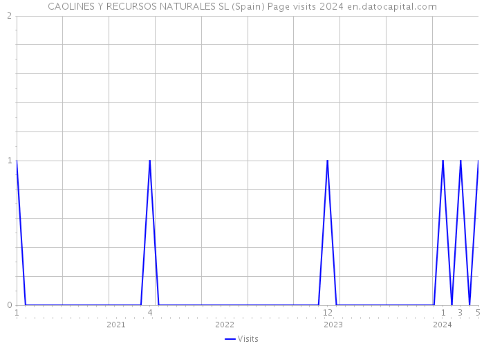 CAOLINES Y RECURSOS NATURALES SL (Spain) Page visits 2024 