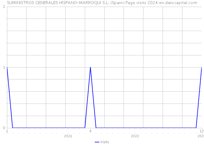SUMINISTROS GENERALES HISPANO-MARROQUI S.L. (Spain) Page visits 2024 