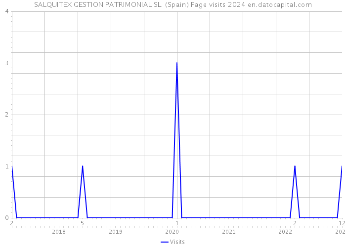 SALQUITEX GESTION PATRIMONIAL SL. (Spain) Page visits 2024 