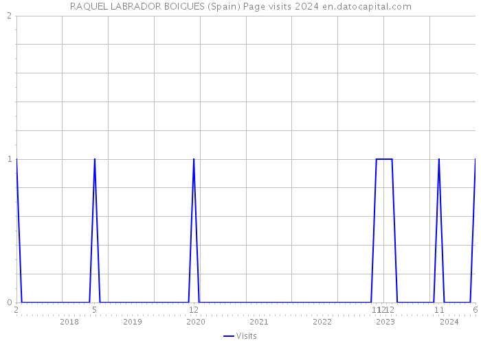 RAQUEL LABRADOR BOIGUES (Spain) Page visits 2024 