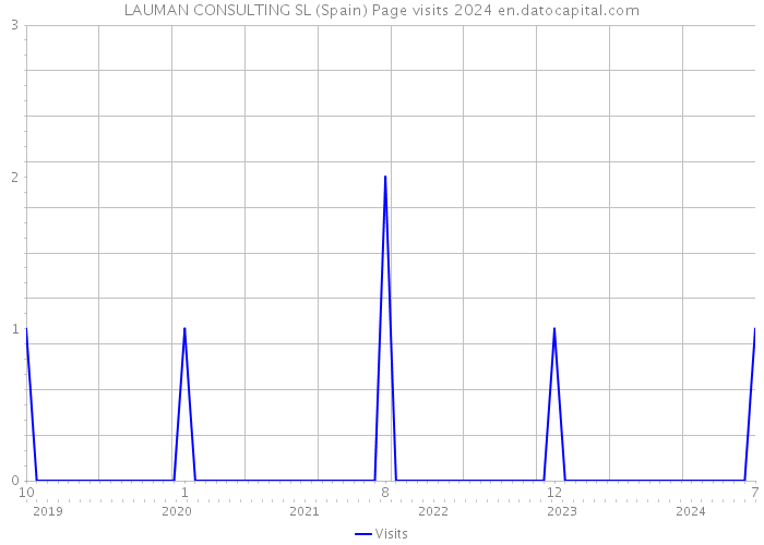 LAUMAN CONSULTING SL (Spain) Page visits 2024 