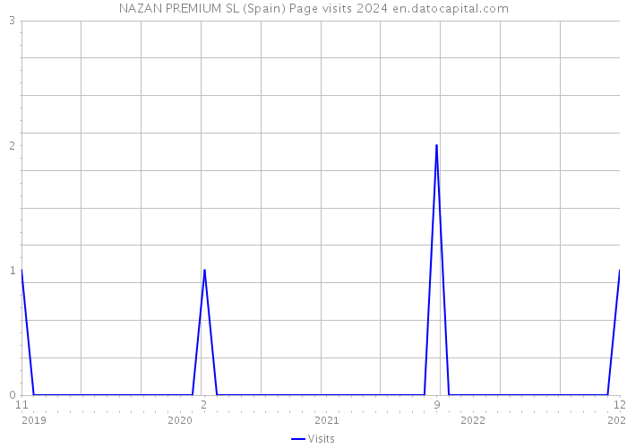 NAZAN PREMIUM SL (Spain) Page visits 2024 