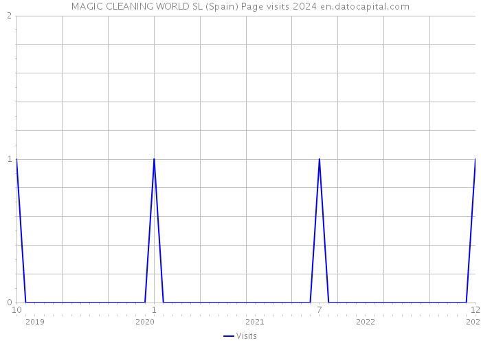 MAGIC CLEANING WORLD SL (Spain) Page visits 2024 