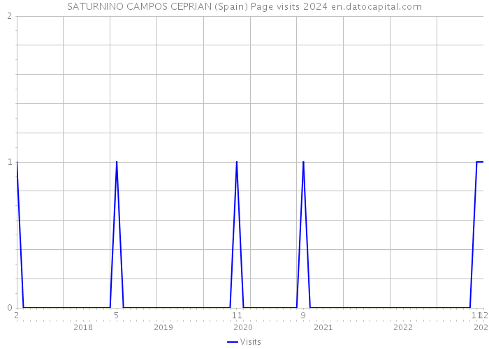 SATURNINO CAMPOS CEPRIAN (Spain) Page visits 2024 
