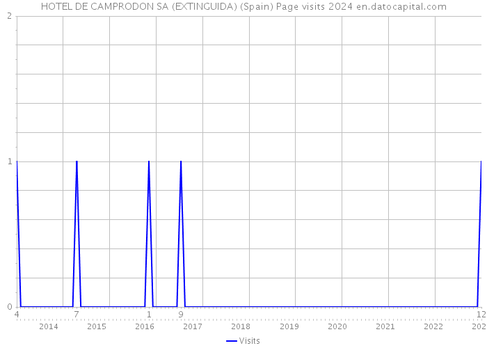 HOTEL DE CAMPRODON SA (EXTINGUIDA) (Spain) Page visits 2024 