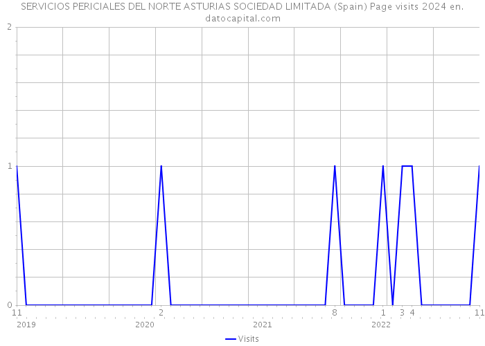 SERVICIOS PERICIALES DEL NORTE ASTURIAS SOCIEDAD LIMITADA (Spain) Page visits 2024 