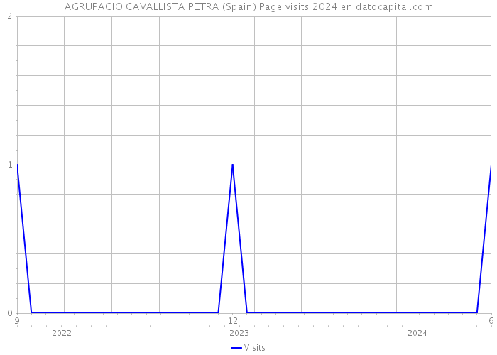AGRUPACIO CAVALLISTA PETRA (Spain) Page visits 2024 