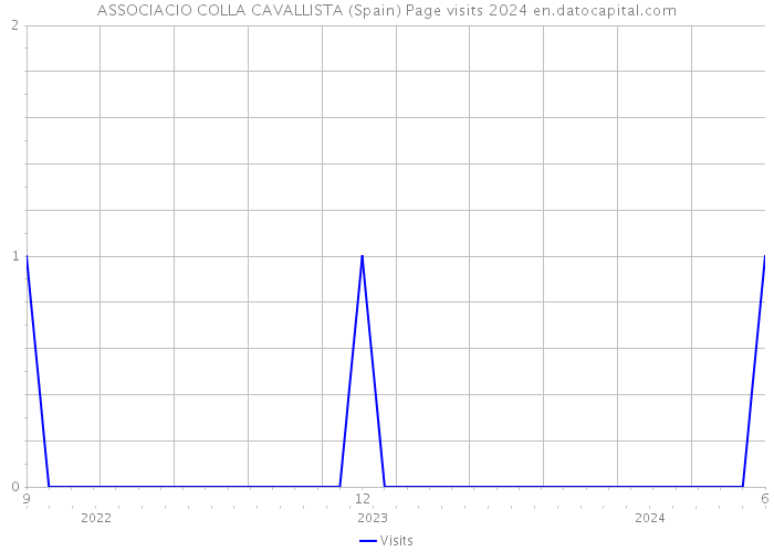 ASSOCIACIO COLLA CAVALLISTA (Spain) Page visits 2024 