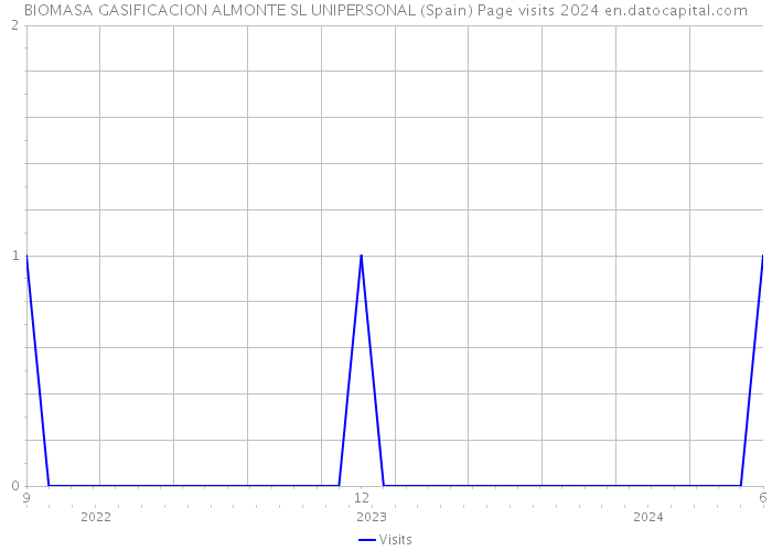 BIOMASA GASIFICACION ALMONTE SL UNIPERSONAL (Spain) Page visits 2024 