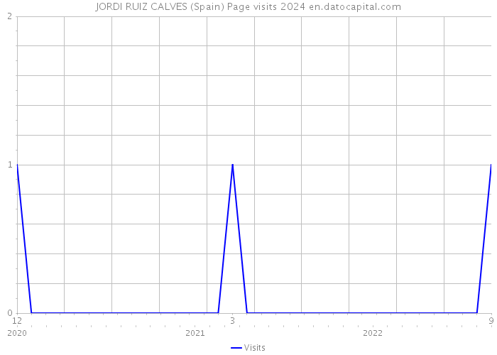 JORDI RUIZ CALVES (Spain) Page visits 2024 