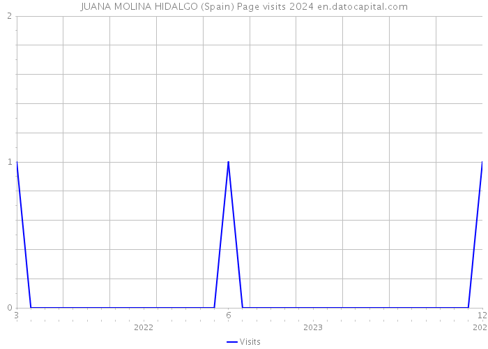 JUANA MOLINA HIDALGO (Spain) Page visits 2024 