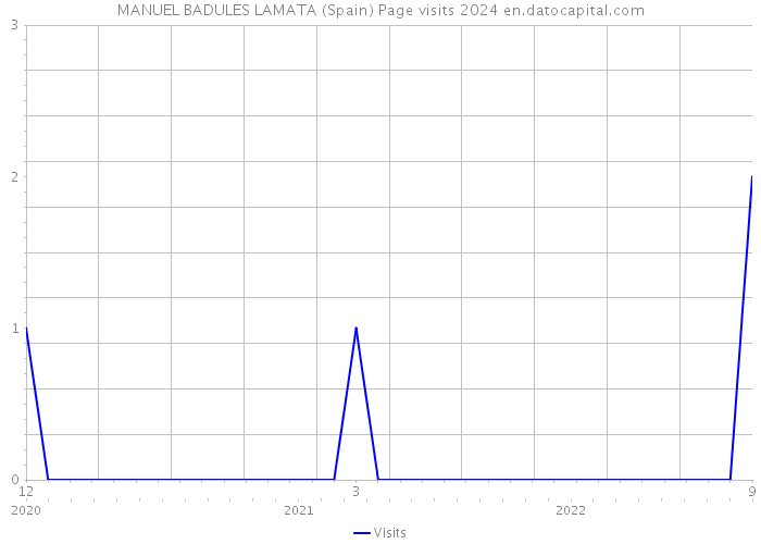 MANUEL BADULES LAMATA (Spain) Page visits 2024 