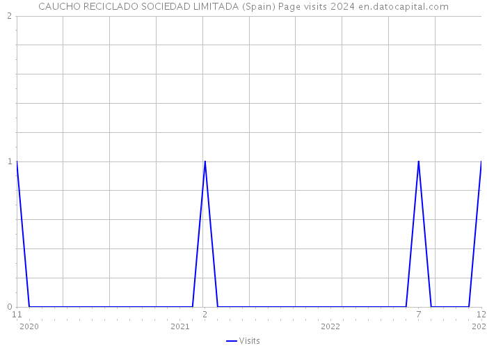 CAUCHO RECICLADO SOCIEDAD LIMITADA (Spain) Page visits 2024 