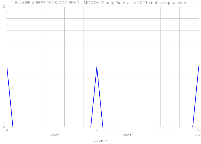 BURGER & BEER 2018, SOCIEDAD LIMITADA (Spain) Page visits 2024 