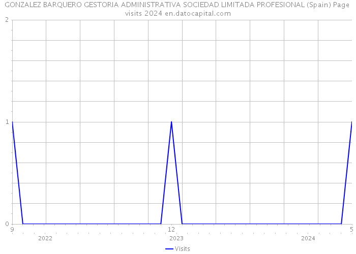 GONZALEZ BARQUERO GESTORIA ADMINISTRATIVA SOCIEDAD LIMITADA PROFESIONAL (Spain) Page visits 2024 